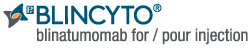 logo-Blincyto