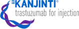 logo-kanjinti