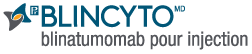 logo-Blincyto