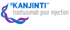 logo-kanjinti